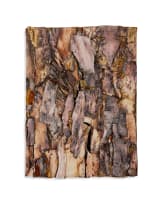 Hendrik Coetzee; Material Study: Bark in Clay