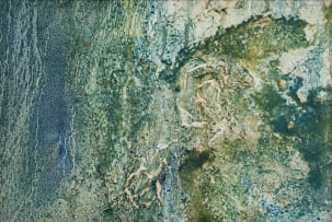 Huibrecht de Hart; Anthropo-Aqua III