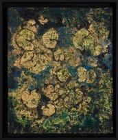 Catherine de Villiers; Lily Pond