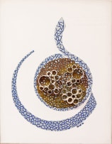 Keamogetsoe Hlungwani; Burnt Sequoia
