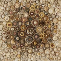 Sharle Matthews; Trusting in the Rhythm of Nature