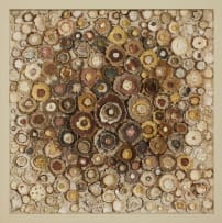 Sharle Matthews; Trusting in the Rhythm of Nature