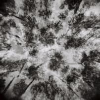 André Rose; Differently (dis) Orientated 3
