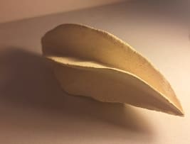 Petra Thorsen; Combretum