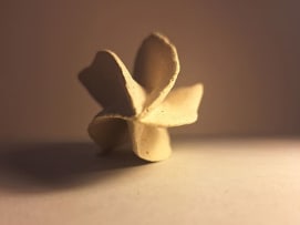 Petra Thorsen; Combretum
