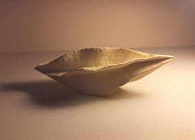 Petra Thorsen; Combretum