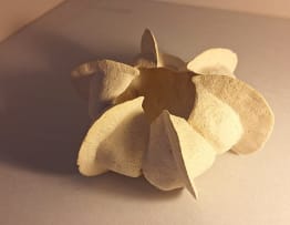 Petra Thorsen; Echinoderm