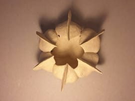 Petra Thorsen; Echinoderm