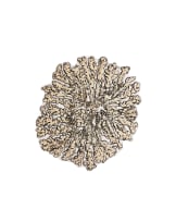 Claire Waters; A Lichen Abstraction