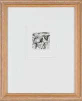 Andrew Verster; Lands IV
