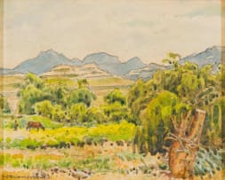 Erich Mayer; Wilgerbome/Willows, Dist. Bethlehem