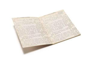 Wopko Jensma; Wail for the Beast VII; I Must Show You My Clippings, two