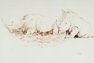 Zakkie Eloff; Two Rhinos