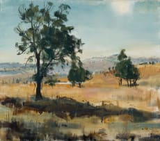 Clement Serneels; Highveld Winter