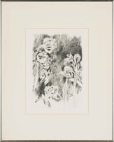 Andrew Verster; Irises