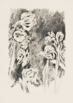Andrew Verster; Irises II