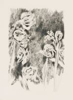 Andrew Verster; Irises VI