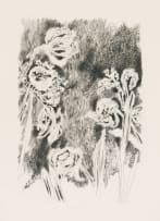 Andrew Verster; Irises