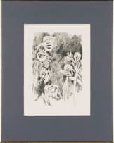 Andrew Verster; Irises