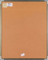 Bronwen Findlay; Nasturtiums