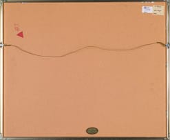 Edwine Simon; Cape Veld