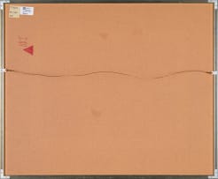 Edwine Simon; Cape Veld