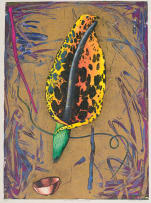 Philippa Hobbs; Ixu and Dioscorides