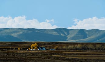 John Meyer; Wilgebosch Afternoon