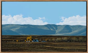 John Meyer; Wilgebosch Afternoon