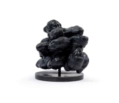 Lionel Smit; Divergence #1