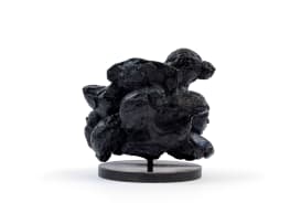 Lionel Smit; Divergence #1