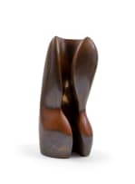 Caroline van der Merwe; Hollow Torso
