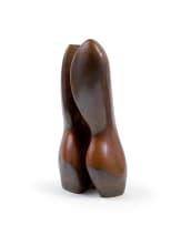 Caroline van der Merwe; Hollow Torso