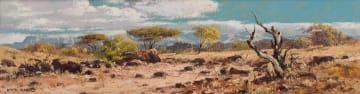 Otto Klar; Bushveld Landscape