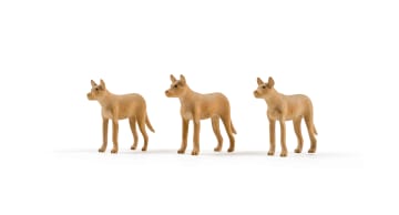 Julius Mfethe; Dogs, three