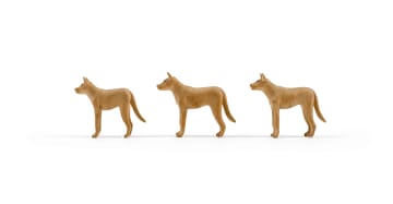 Julius Mfethe; Dogs, three
