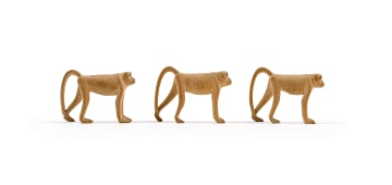 Julius Mfethe; Monkeys, three