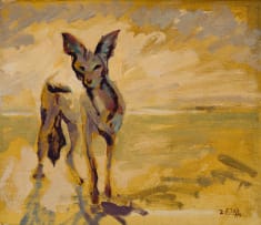 Zakkie Eloff; Jackal