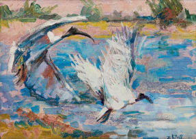 Zakkie Eloff; Ibises Taking Flight