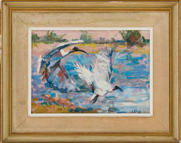 Zakkie Eloff; Ibises Taking Flight