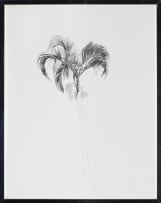 Andrew Verster; Durban Picasso II