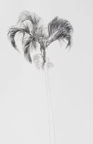Andrew Verster; Durban Picasso II
