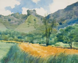 Andrew Verster; Farm Landscape