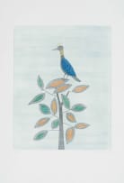 Keiko Minami; Aigrette