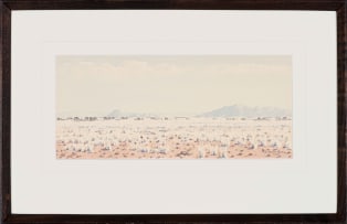 Herbert Diener; Namib Park S.W.A