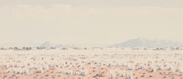 Herbert Diener; Namib Park S.W.A