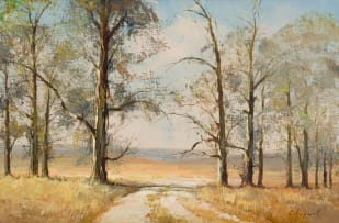 Christopher Tugwell; Path through Trees