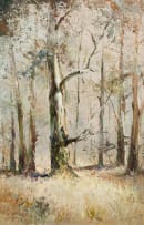 Christopher Tugwell; Forest