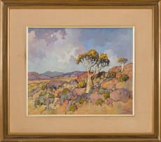 Conrad Theys; Kokerboom in Bloei, Namakwaland (Quiver Tree in Bloom, Namaqualand)