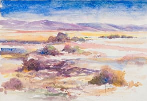 Ignatius Marx; Sandveld Afternoon